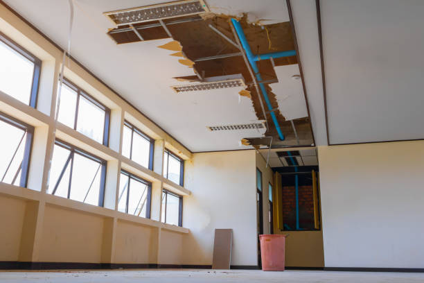 Best Water damage restoration process  in Bellbrook, OH