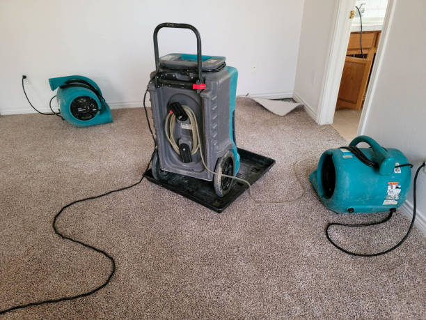  Bellbrook, OH Water damage restoration Pros