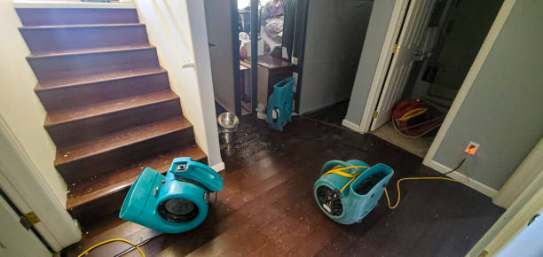 Best Water damage restoration near me  in Bellbrook, OH