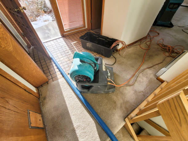 Best Local water damage restoration  in Bellbrook, OH