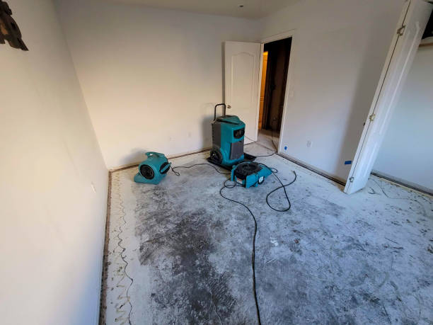 Best Flood damage cleanup  in Bellbrook, OH