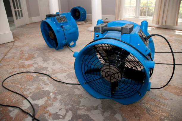 Best Flood damage cleanup  in Bellbrook, OH