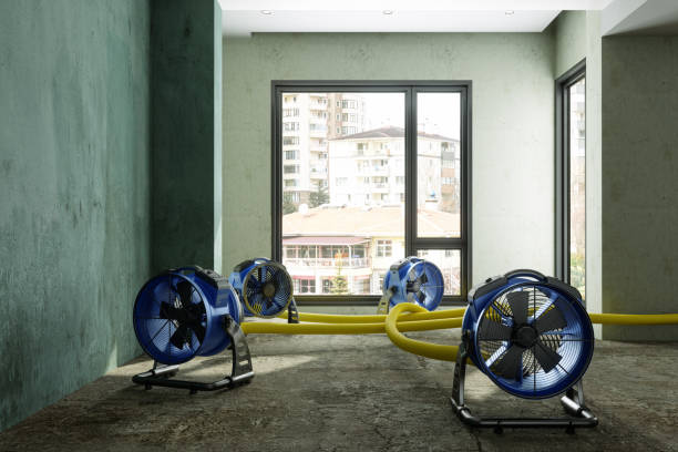 Best Carpet water damage restoration  in Bellbrook, OH