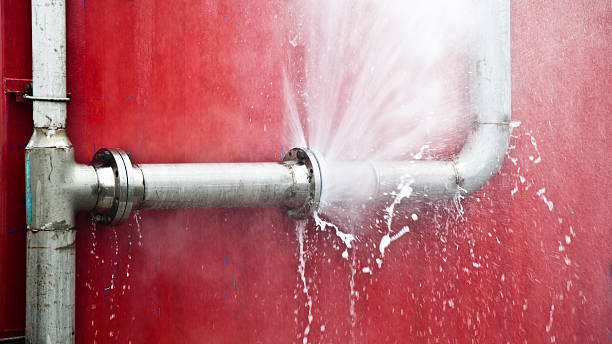 Best Water damage repair service  in Bellbrook, OH