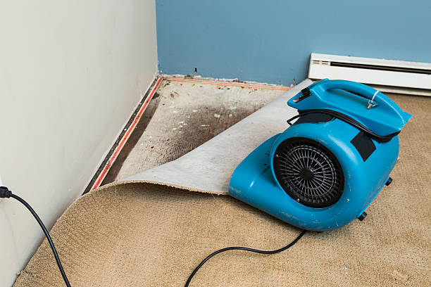 Best Sewage cleanup and water damage restoration  in Bellbrook, OH